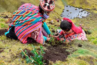 Proyecto Social Mundo Inca